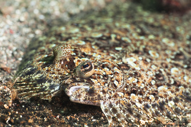 Similar image 1661720