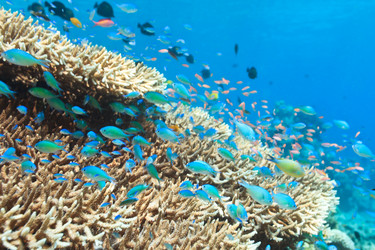 Similar image 1661728