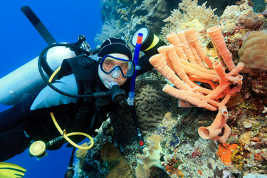 Similar image 1661760