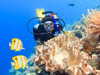 Similar image 1661761