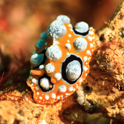 Similar image 1661765