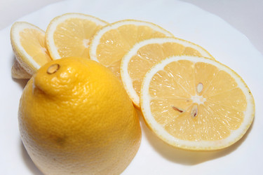 Similar image 1661779