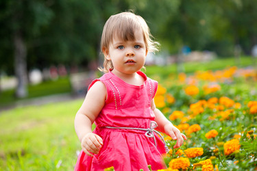 Similar image 1662024