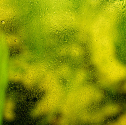 Similar image 1662225