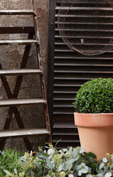 Similar image 1662253