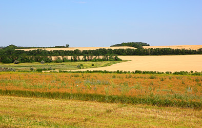 Similar image 1662325