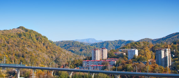 Similar image 1662334