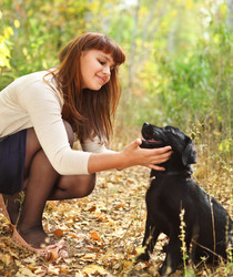 Similar image 1662437