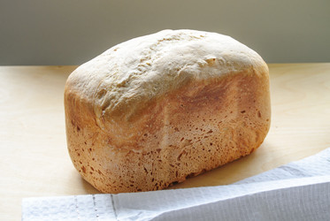 Similar image 1662469