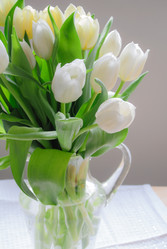 Similar image 1662470