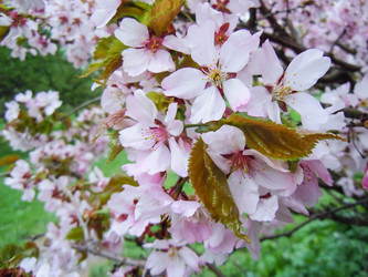 Similar image 1662471