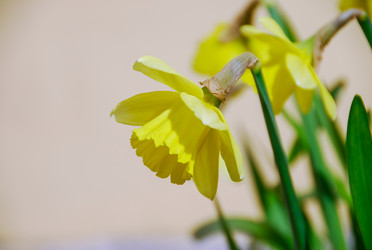 Similar image 1662473