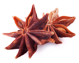 Similar image 1662494