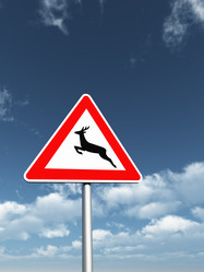 Similar image 1662508