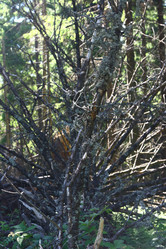 Similar image 1662567