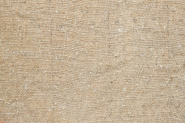 Similar image 1662614