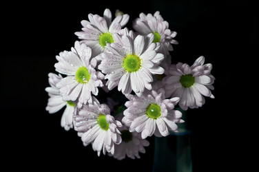 Similar image 1662693