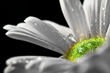 Similar image 1662694