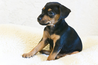 Similar image 1662761