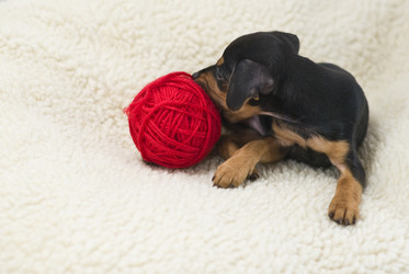 Similar image 1662762