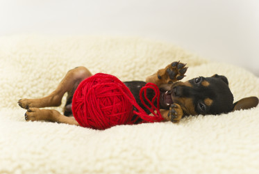 Similar image 1662764