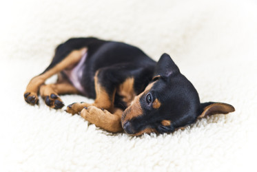 Similar image 1662769