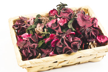 Similar image 1662775