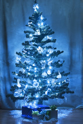 Similar image 1662781