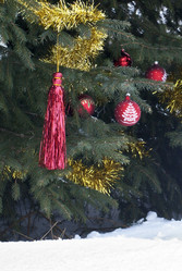 Similar image 1662783