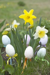 Similar image 1662789