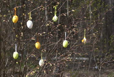 Similar image 1662790