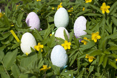 Similar image 1662794