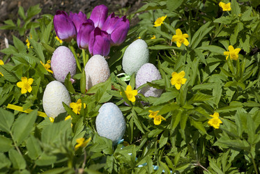 Similar image 1662795