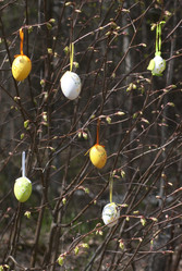 Similar image 1662798