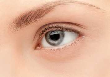 Similar image 1663121