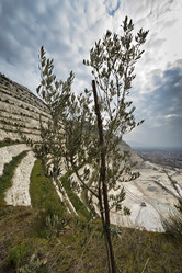 Similar image 1663584