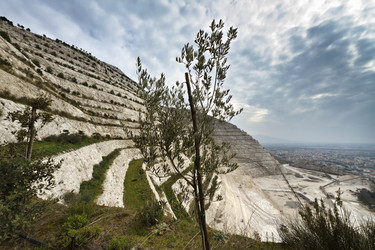 Similar image 1663585