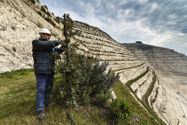 Similar image 1663586