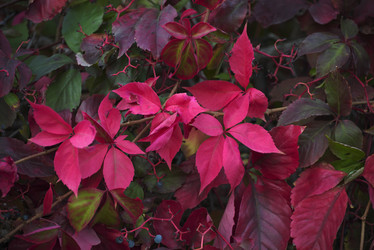 Similar image 1663597