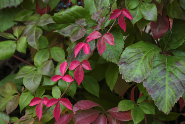 Similar image 1663598