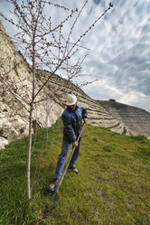 Similar image 1663600