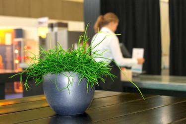 Similar image 1663604