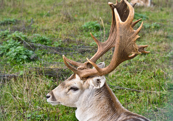 Similar image 1663621