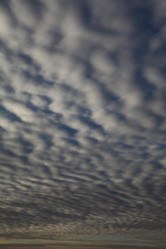 Similar image 1663624