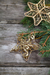 Similar image 1663656