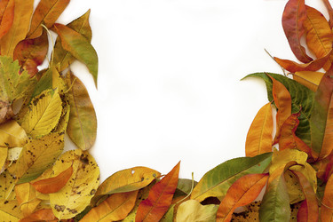 Similar image 1663677