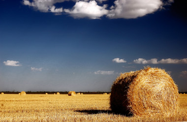 Similar image 1663844