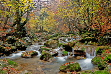 Similar image 1663845