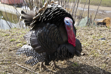 Similar image 1663893