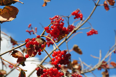 Similar image 1663944